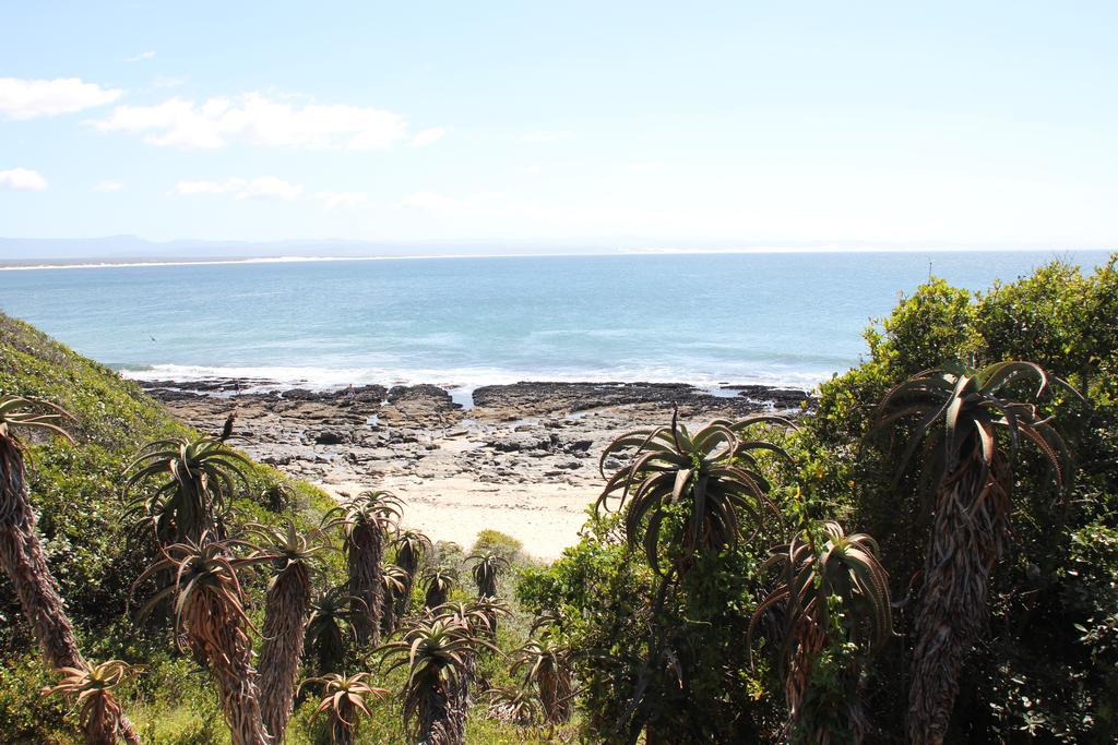 Shack On Supers Villa Jeffreys Bay Exterior photo